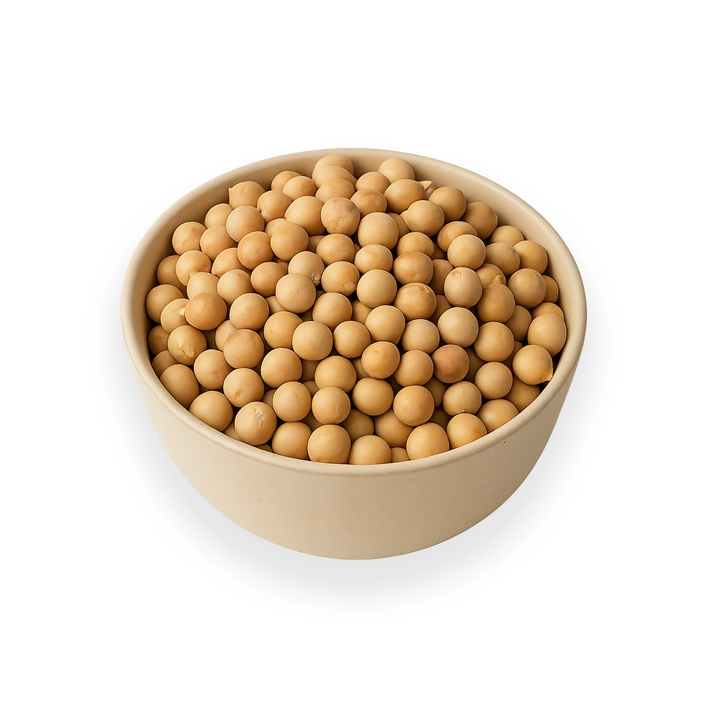 (HS Code: 1208990000) Form: Whole, dried, shelled Color: Cream, brown, or red Moisture: 12% max Protein Content: 18-24% Purity: 99% min Packaging: 25kg / 50kg PP bags Loading Quantity: 20FT FCL: ~22-24 MT