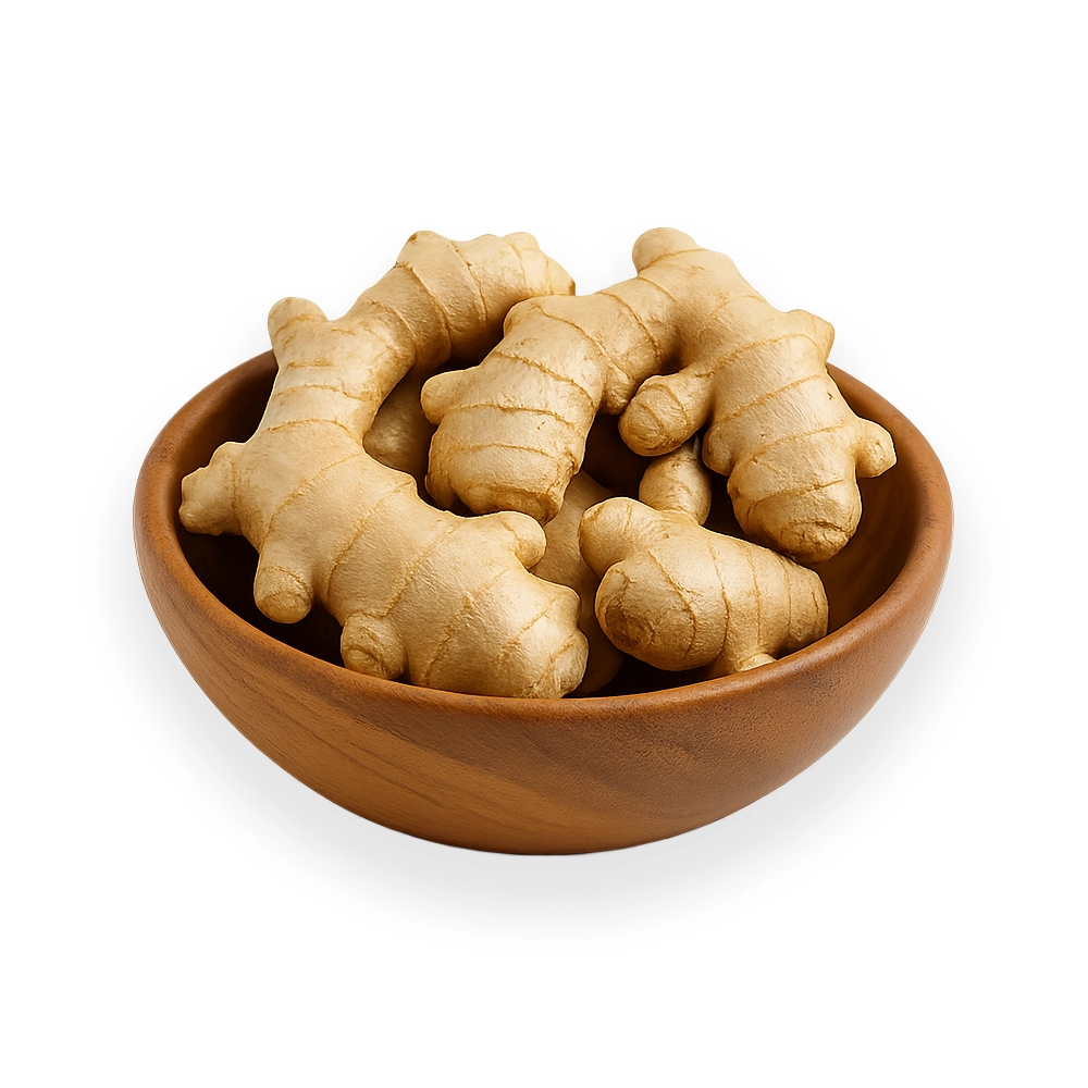 (HS Code: 0910110000) Form: Sun-dried whole rhizomes, slices, or powder Origin: Nigeria (Superior pungency and aroma) Moisture: 10% max (dried) Fibre Content: Low Essential Oils: >1.5% Certification: HACCP, Phytosanitary Certificate Packaging: 25kg paper/PP bags, or as per buyer's request Loading Quantity: 20FT FCL: ~12-14 MT (dried)