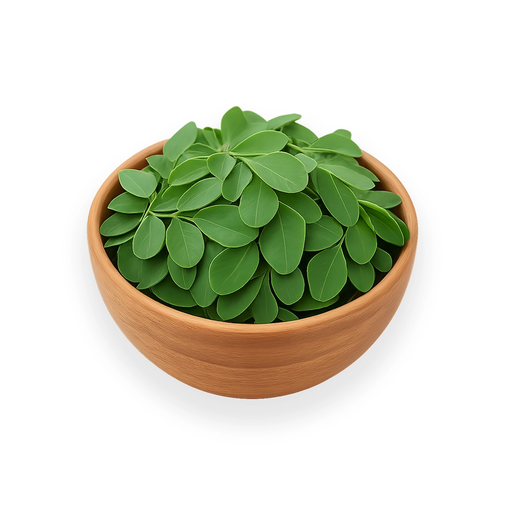 (HS Code: 1211900000) Color: Vibrant green Moisture: <8% Protein: >25% Mesh Size: 80-100 mesh Purity: 99.5% Germination Rate: >85% Moisture: <7% Packaging: 1kg, 5kg, 20kg sealed bags; 25kg foil bags with oxygen absorbers Loading Quantity: 20FT FCL: ~8-10 MT (powder)